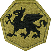 108th Airborne Division OCP Scorpion Shoulder Patch 